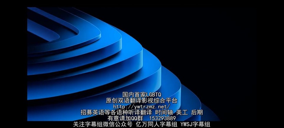 优秀的剧，垃圾翻译！